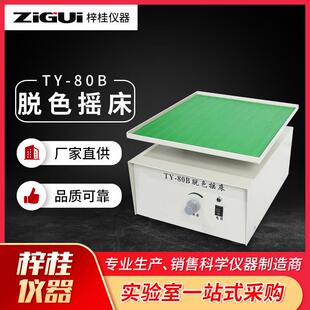 80A 上海定制TY80BTY S脱色摇床凝胶染色脱色凝胶固定摇床