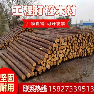 市杉绿化原木落叶松支撑杆景观湖北武打桩木树木木桩汉防汛河道护