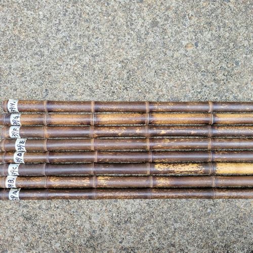 优质紫竹京胡担子福建闽侯 鳝鱼花鳝鱼黄 二黄担子 1-4节390-395