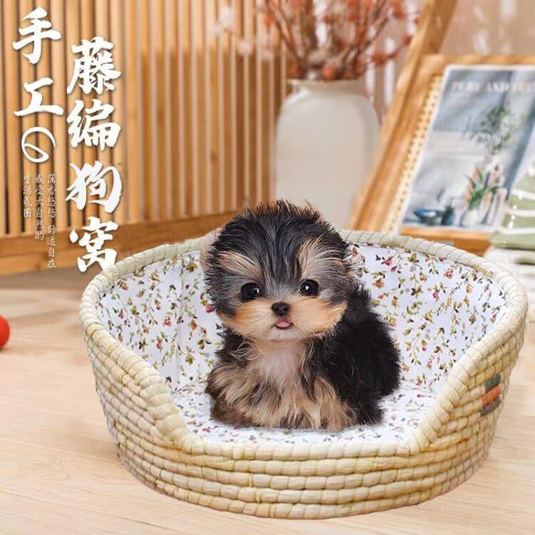 约克夏狗狗专用小狗窝草编四季通用藤编网红夏天夏季幼犬小型犬图片