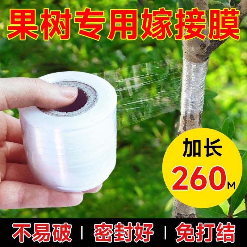 嫁接膜果树嫁接专用膜PE拉伸膜透明免打结塑料膜自粘园林农用薄膜