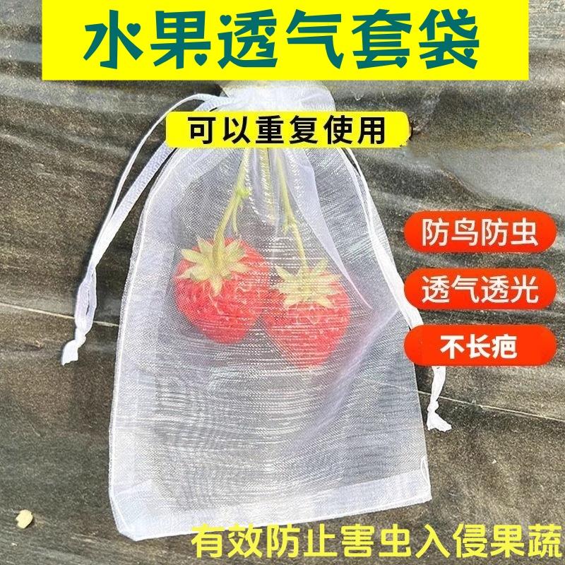 水果套袋防鸟网纱袋防虫专用袋枇杷葡萄桃子草莓保护套袋耐用种植