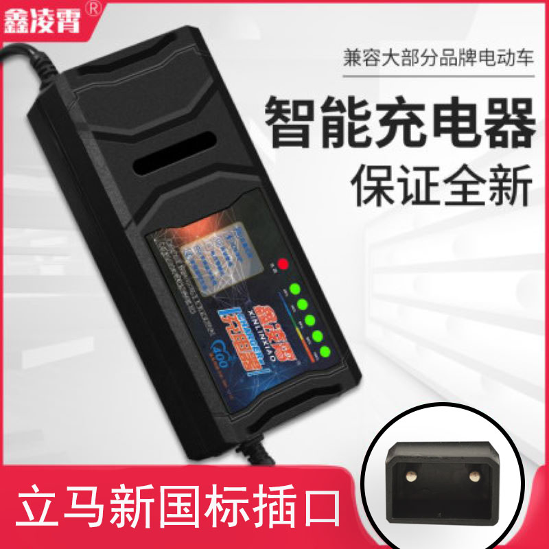 自动关机智能电动车电瓶充电器48V12AH60V20AH72V30A通用立马两孔