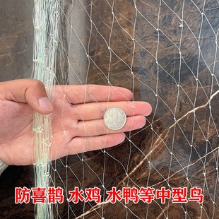 鱼塘防鸟网泥鳅塘天网养殖网牛蛙网大网眼尼龙综丝纱网防鸟用的网