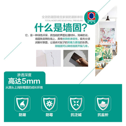 嘉宝莉全效防潮固墙宝混泥土界面剂掉粉处理剂防水涂料墙固