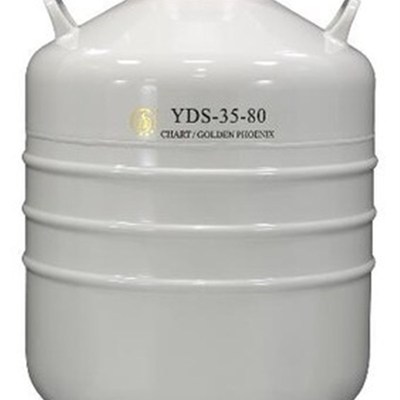 成都金凤YD中型液氮罐升贮存型液氮罐生物储存冷冷冻罐
