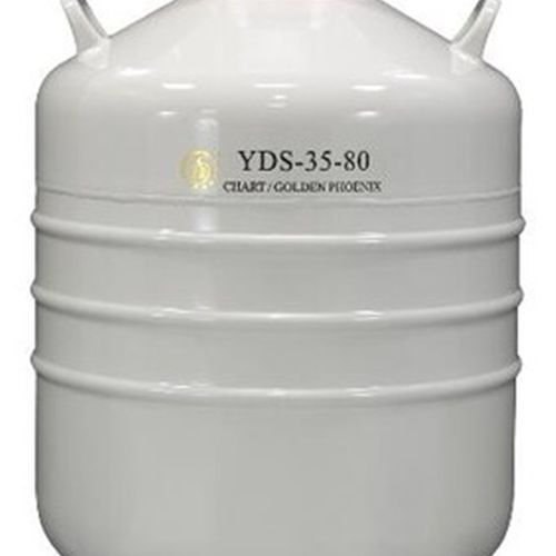 成都金凤YD中型液氮罐升贮存型液氮罐生物储存冷冷冻罐