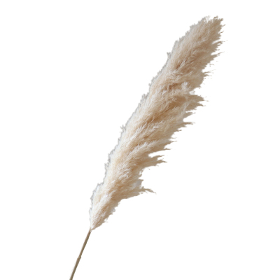 WIO 白色芦苇云朵大干树枝店铺软装陈设落地装饰
