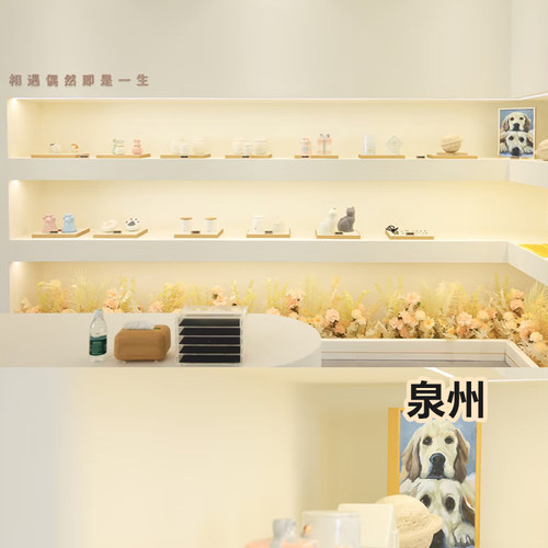泉州宠物火化殡葬狗狗猫咪兔鼠小动物善终骨灰制作纪念品上门服务