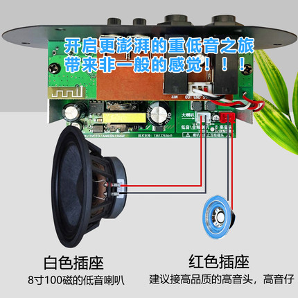 双话筒大功率蓝牙功放板12V24V220V低音炮功放板音箱主板车载通用