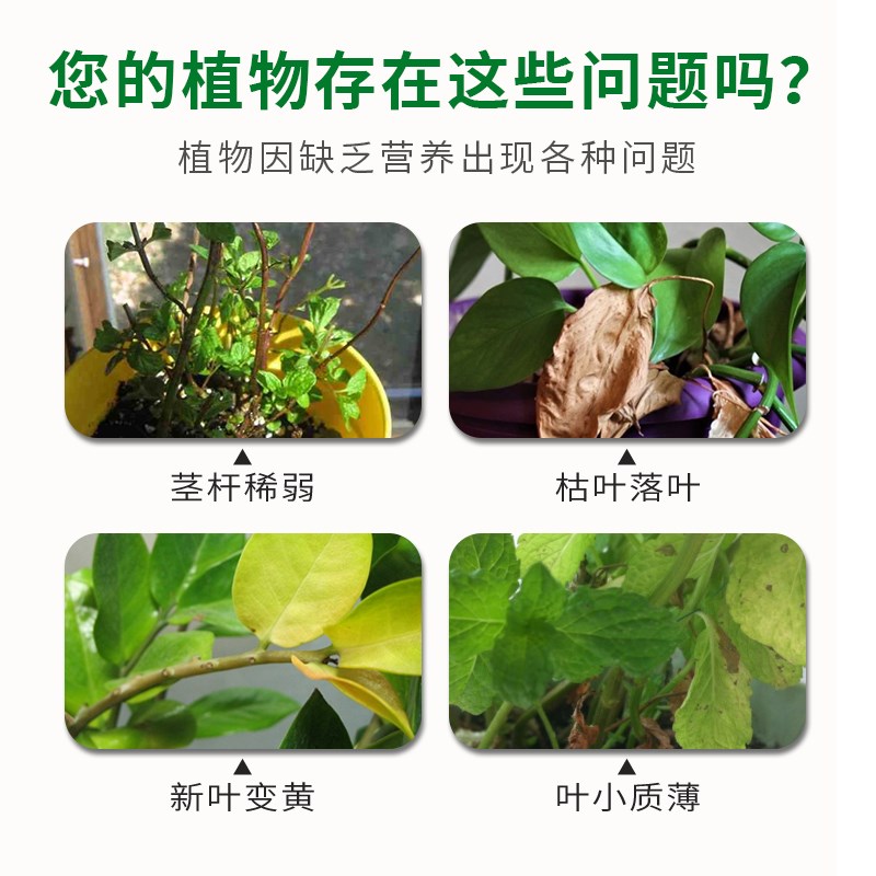 卡纳玛朵光能叶绿康营养液植物通用型叶绿素发财树幸福树园艺家用