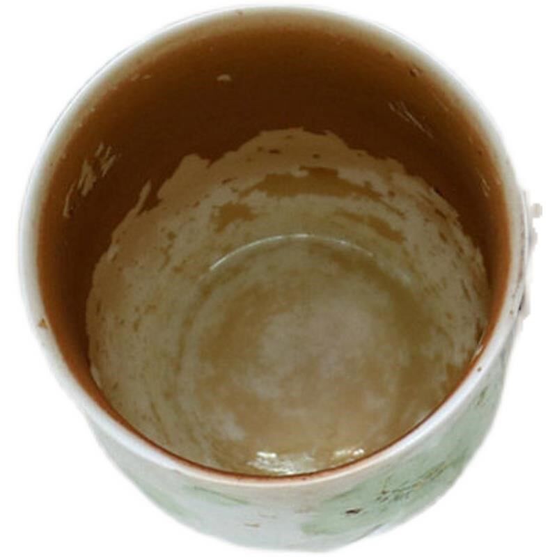 洗杯子去茶垢清洁剂祛茶锈洉清除剂保温杯清洗剂洗茶渍咖啡渍神器