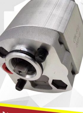 F3.C 203.2.2.5 F2.BF4.6 F1定制.13 K-F F.26F4 F7齿轮油泵微型