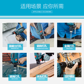 博大冲击钻两用手枪钻手电钻电转枪电动螺丝刀装