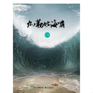 书加勒比海啸 电子工业出版 9787121254918 著 社 刘广元 库存绝版