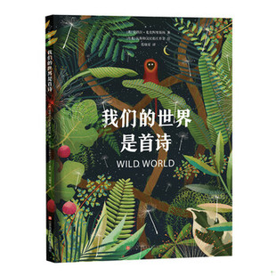 库存绝版书我们的世界是首诗 9787558414480 安琪拉·麦克阿里斯特