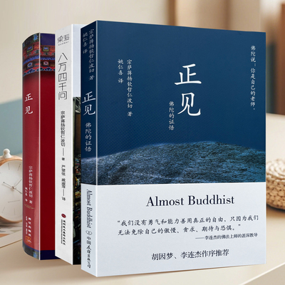 正版库存 正见 八万四千问 宗萨蒋扬钦哲仁波切  深圳报业出版集团  9787807097396