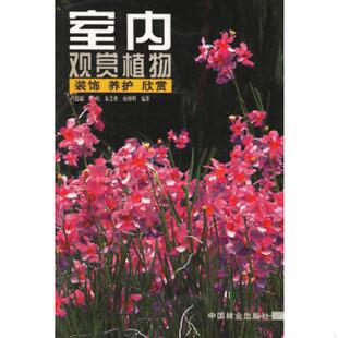 养护 欣赏 9787503825729 库存绝版 中国林业出版 饰 卢思聪等编著 社 书室内观赏植物：装