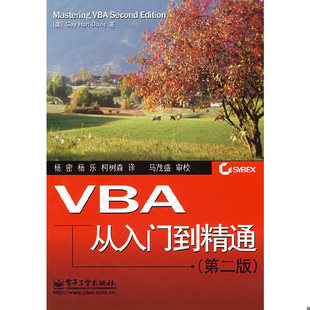 库存绝版书VBA从入门到精通（第2版） 9787121063527 （美）戴维斯（Davis,G.H.）　著；杨密,杨乐,柯树森　译 电子工业出版社