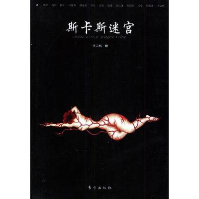 库存绝版书斯卡斯迷宫  李云枫著 殷龙龙著 东方出版社 9787506021319 李云枫绘,殷龙龙等著 东方出版社