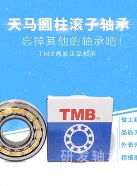 10  26N1910N 子J 10M 轴承U11020圆柱E220滚2421 天马N10