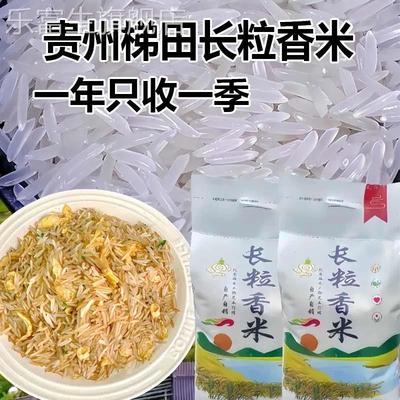 贵州梯田长粒香米不打蜡特长粒香大米贵州长粒香大米官方旗舰店