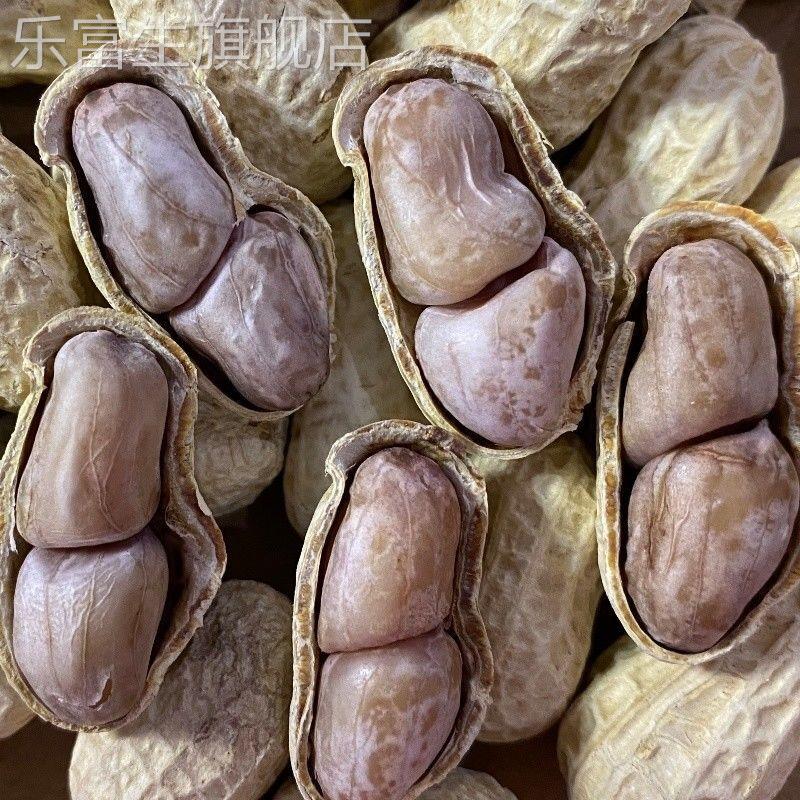 【水煮白晒花生】盐花生咸干蒜香五香咸干 干燥花生熟花生带壳多