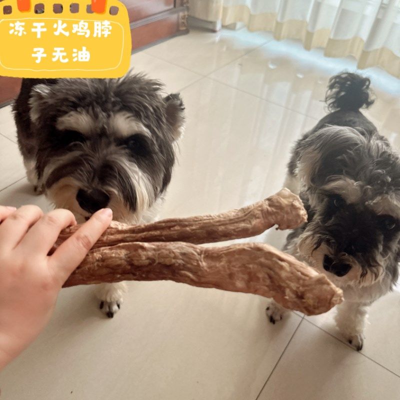 冻干火鸡脖子小狗磨牙零食猫咪磨牙零食宠物冻干零食狗狗磨牙棒,宠物/宠物食品及用品,狗冻干零食,淘宝优惠券,粉丝福利购,淘宝优惠卷