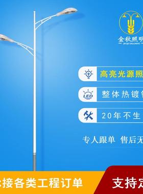 双臂路灯8米10米12米路灯新农村建设道路亮化LED路灯