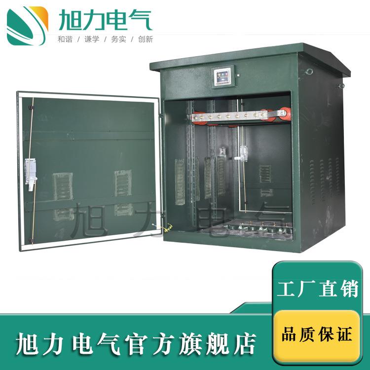 电气电缆分支箱一进一出DWF-12户外不锈钢箱体10KV