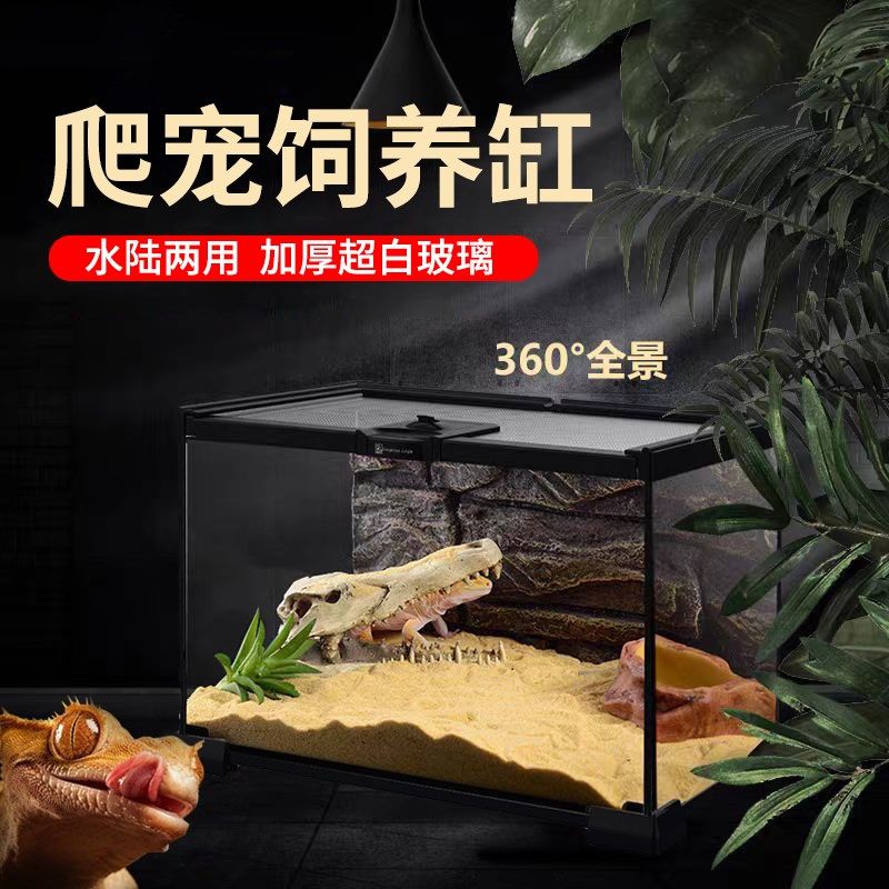 爬宠饲养箱玻璃缸守宫蜥蜴宠物蛇蜘蛛乌龟雨林造景水陆两用生态缸,宠物/宠物食品及用品,桌面缸,淘宝优惠券,粉丝福利购,淘宝优惠卷