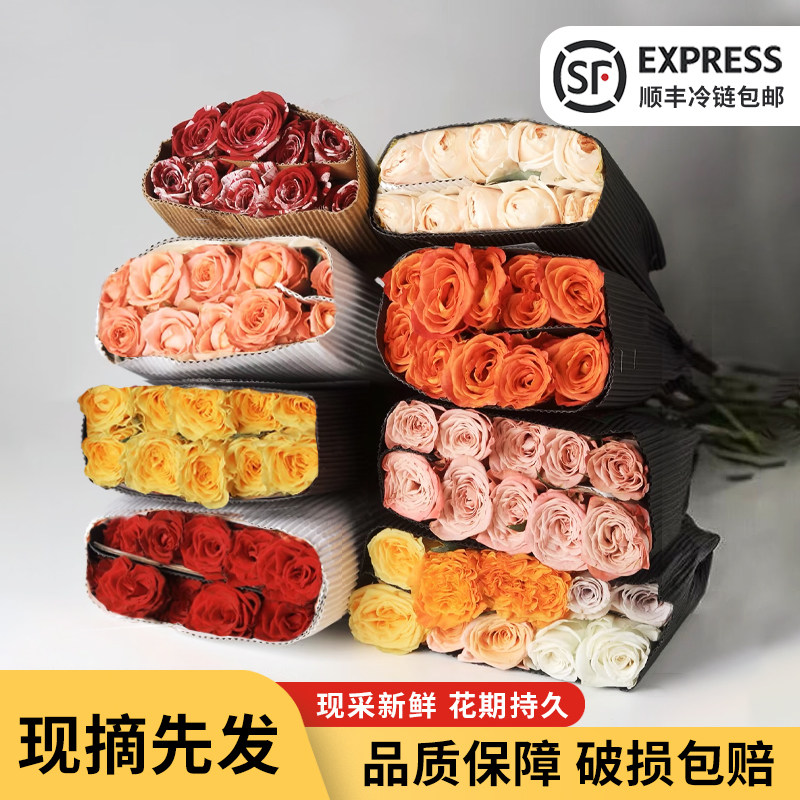 云南新鲜玫瑰花 鲜花速递同城配送基地直发插花家用 生日花束顺丰