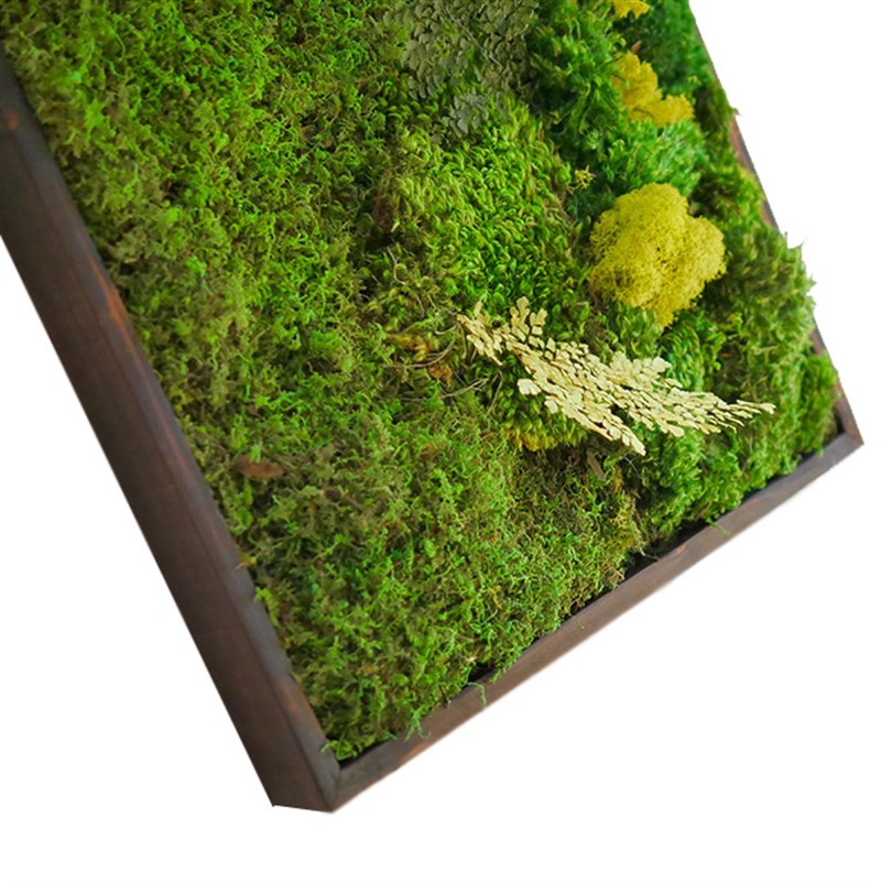苔藓植物画玄关艺术设计师绿色茶室书房立体背景墙定制装饰诧寂图片