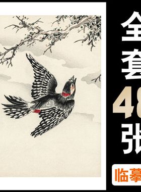 国画临摹卡花鸟名家木板画中国风初学者绘画入门绘画教学全套48幅