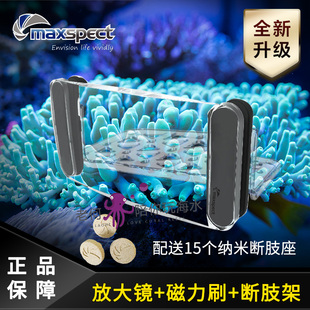迈光海水鱼缸放大镜珊瑚多功能磁力刷断枝架断肢架细微观察镜