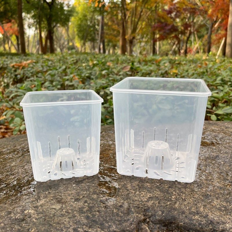 方形透明花盆青山控根盆塑料水培绿萝蝴蝶兰洋兰花专用花盆小方盆,鲜花速递/花卉仿真/绿植园艺,花盆,淘宝优惠券,粉丝福利购,淘宝优惠卷