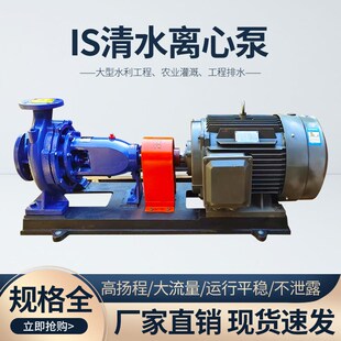 单级离心泵IS级单级单吸清水泵农田灌溉大流量高扬程增压水泵 卧式