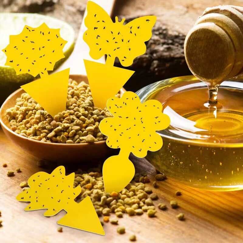 家庭园艺大棚诱虫黄板小黑飞白粉虱粘虫板