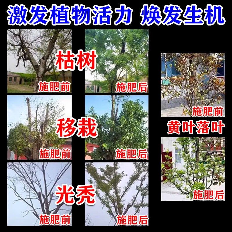 大树生根复活液快速生根液植物再生剂枯树复活液植物通用型营养液,鲜花速递/花卉仿真/绿植园艺,家庭园艺肥料,淘宝优惠券,粉丝福利购,淘宝优惠卷