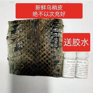 乐器配件乌稍皮中段单块蛇皮京胡四胡蒙皮材料京二胡越胡胡琴手工