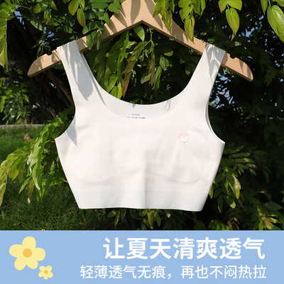 女童内衣夏季小学生髪育期薄款女大童背心莫尔透气内衣礼盒