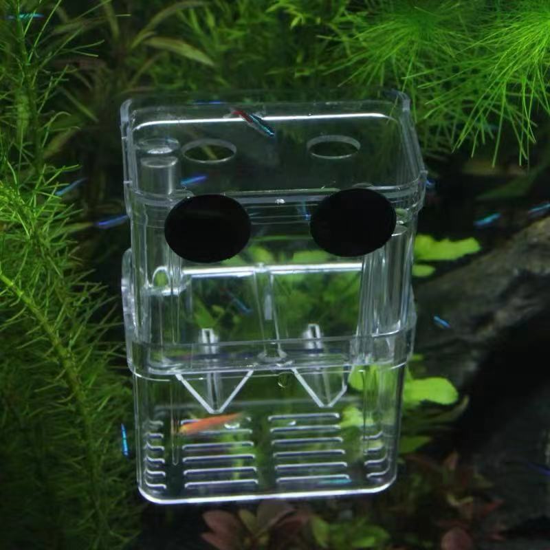 孔雀鱼繁殖盒热带鱼缸亚克力隔离盒特大号产卵产房幼小鱼苗孵化器
