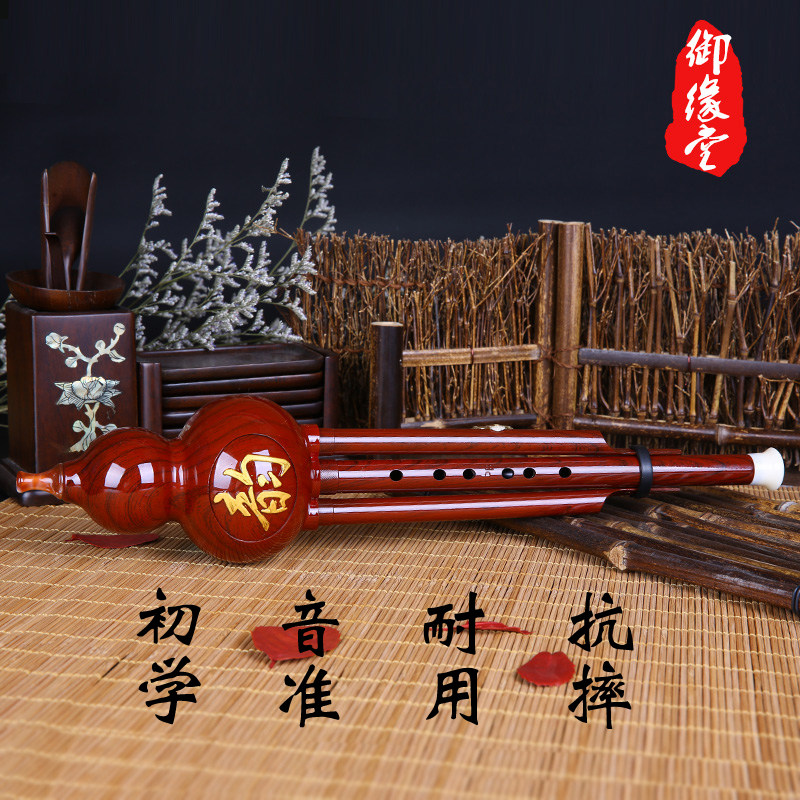 初学入门双音葫芦丝c调降b调F调G调学生儿童成人零基础自学乐器