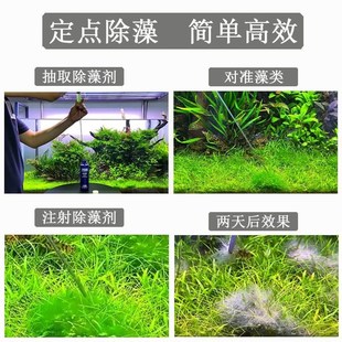 水草打肥器黑毛戊二醛52点射除藻剂液肥追肥器水族加长针管长针头