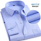 冰绿色衬衫 男长袖 青年商务职业工装 秋季 休闲斜纹白衬衣男寸打底衫