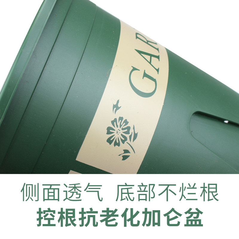 三代透气2加仑盆月季金银花盆 青山盆 透气 防烂根 花盆,鲜花速递/花卉仿真/绿植园艺,花盆,淘宝优惠券,粉丝福利购,淘宝优惠卷