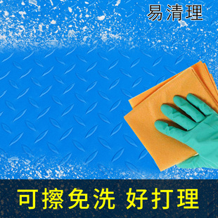 地垫进门可擦洗pvc门口地垫进门家用可擦防水免洗超薄2mm室内门垫