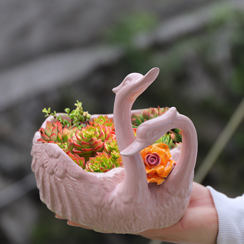 多肉花盆陶瓷创意个性室内欧式桌面绿萝简约客厅手工捏花天鹅摆件,鲜花速递/花卉仿真/绿植园艺,花盆,淘宝优惠券,粉丝福利购,淘宝优惠卷