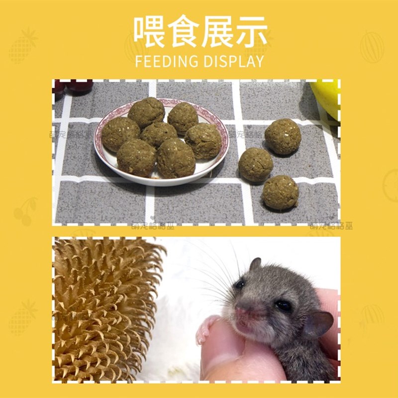 睡鼠粮食营养粉拇指鼠饲料你西班牙睡鼠幼崽专用食物仓鼠饲料粮食
