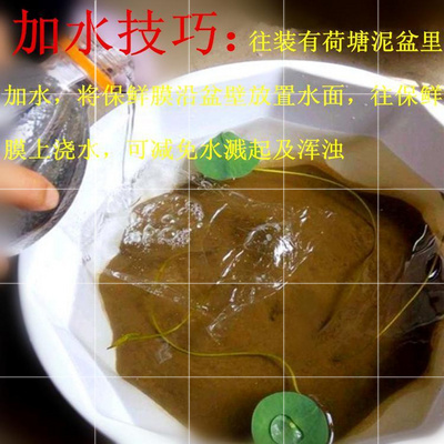 纯正河塘土荷塘泥 营养液营养土水生睡莲花卉碗莲荷花土